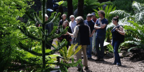 a group of visitors listening to the curator on a garden tour