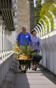 A smiling middle aged man and woman walk across the Clifton suspension bridge on a sunny day with wheelbarrows full of interesting looking plants.