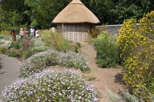South African display with thatched traditional African roundhouse.