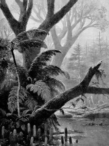 A black and white depiction of a swampy Carboniferous forest