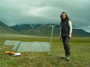 Researcher Elisabeth Cooper stands in a grassy arctic environment in front of three open top chambers - Plexiglass devices for researching the effect of temperature increases
