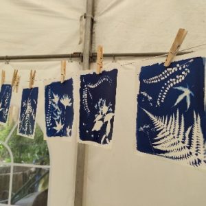 A series of blue prints pegged on a washing line.